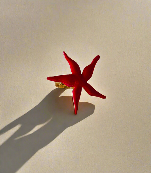 NOYA_ Anello di stella