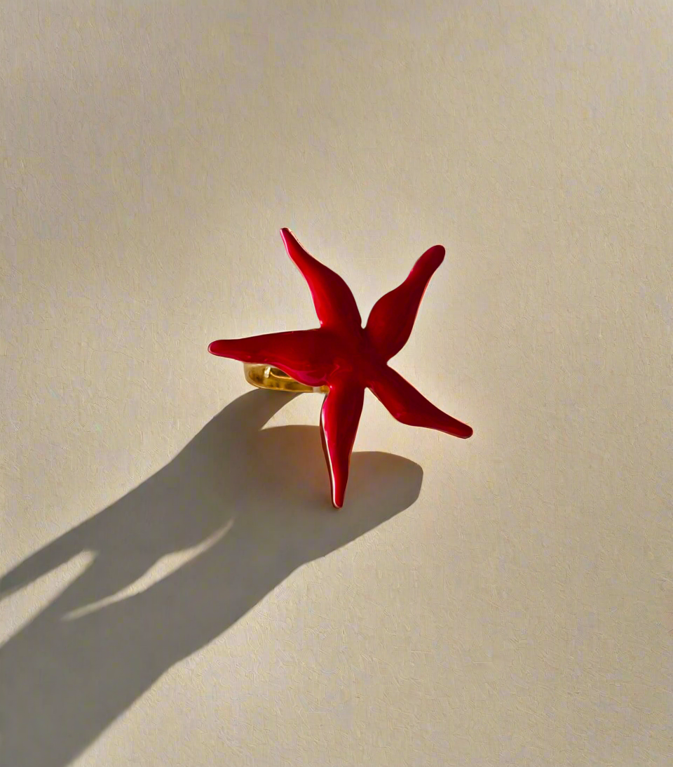 NOYA_ Anello di stella